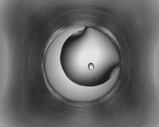 X0000083590946200703091716