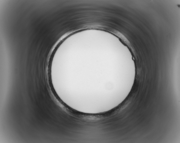 X0000083590947200703091716