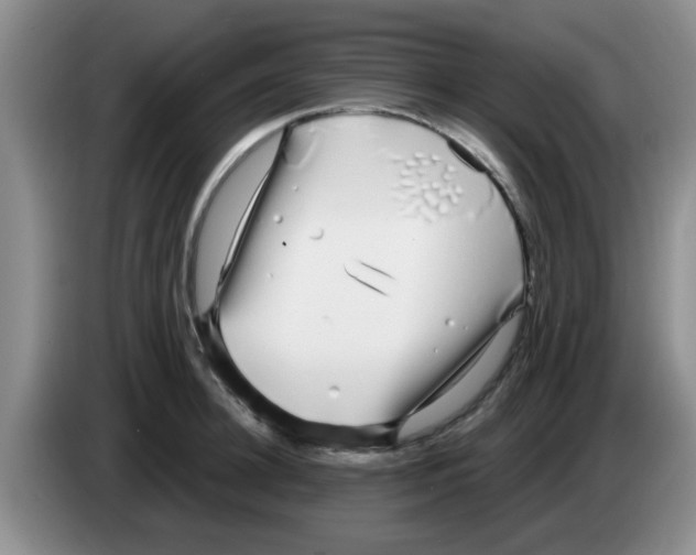 X0000083590948200703091716