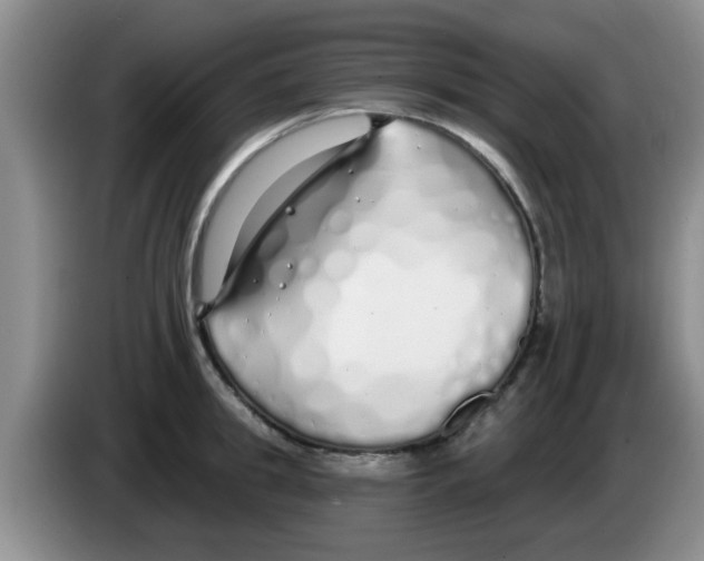 X0000083590949200703091716