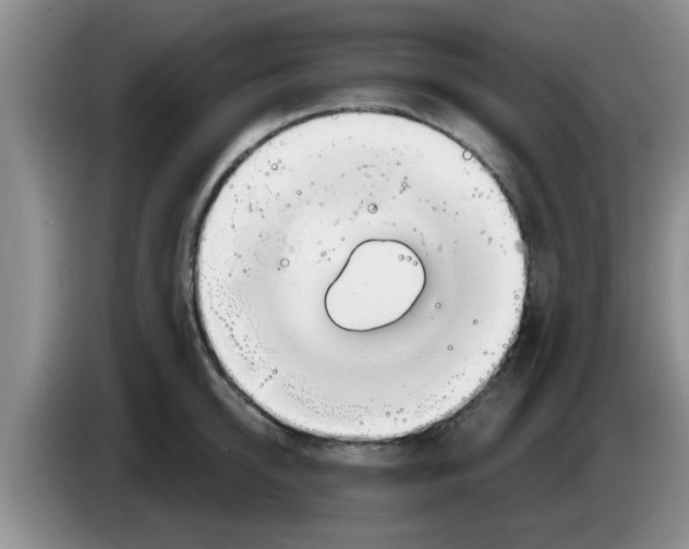 X0000083590950200703091716