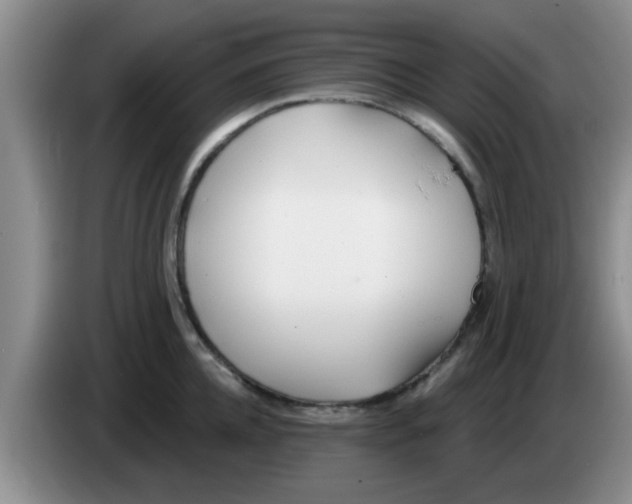 X0000083590952200703091716