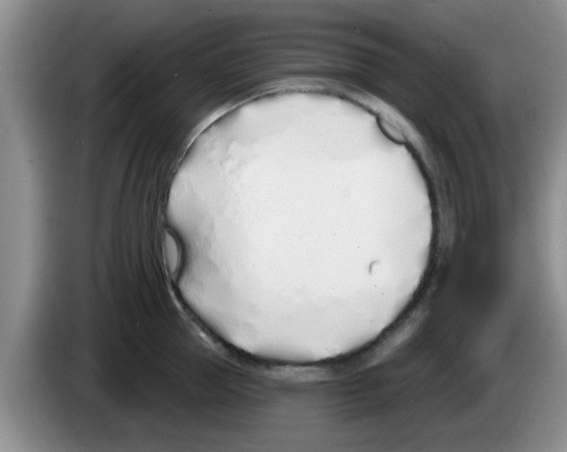 X0000083590953200703091716