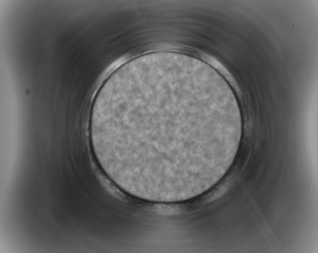 X0000083590954200703091716