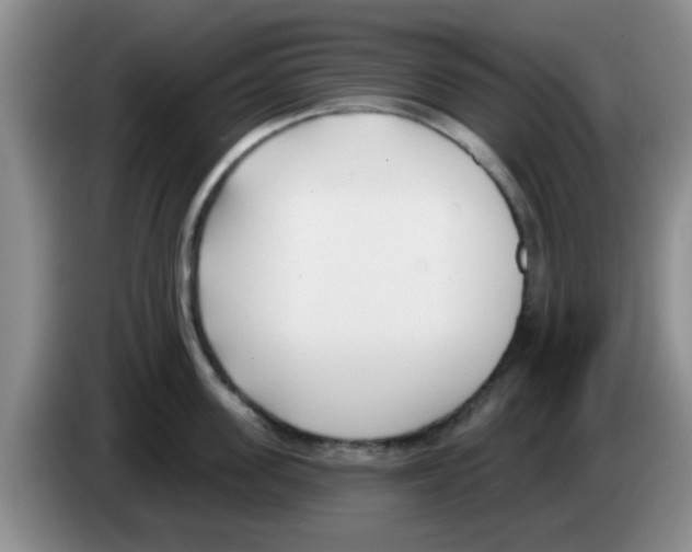 X0000083590955200703091716