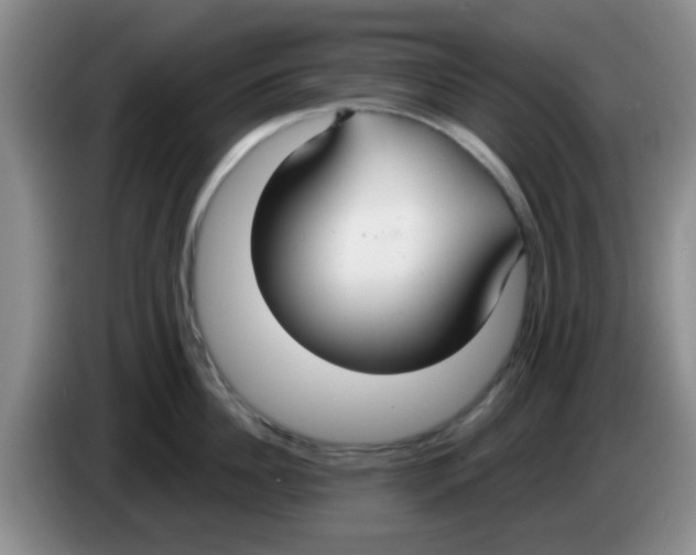 X0000083590956200703091716