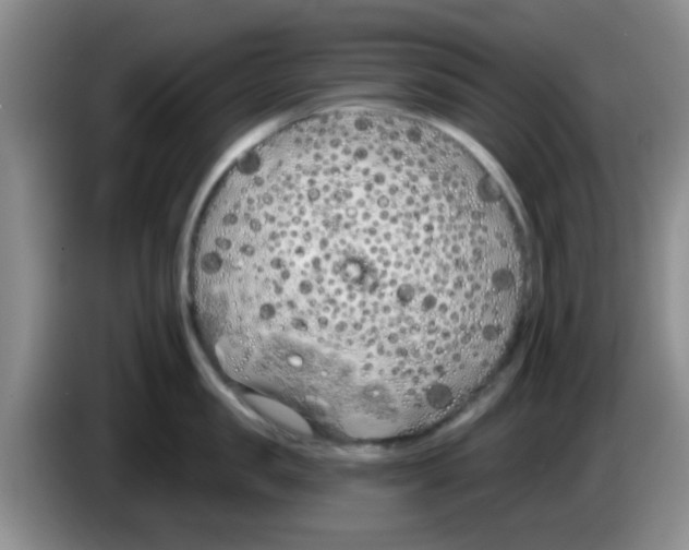 X0000083590957200703091716