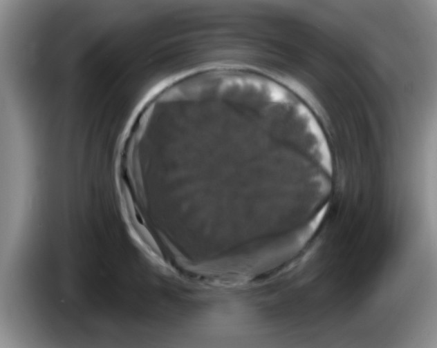 X0000083590958200703091716