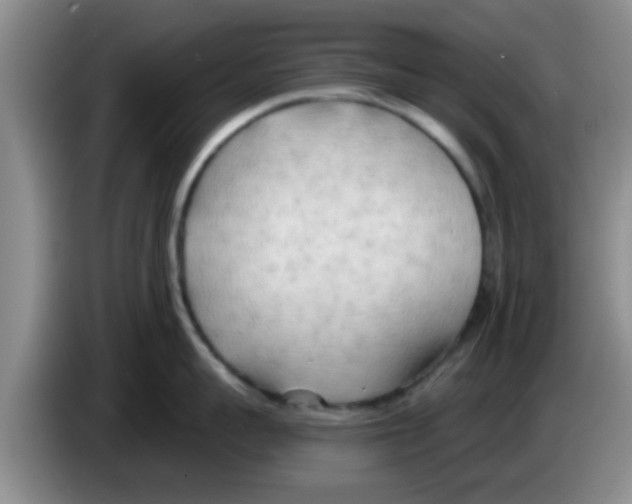 X0000083590959200703091716