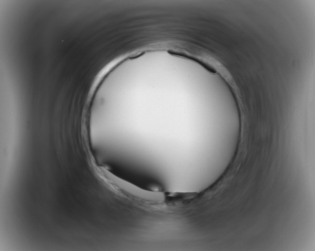 X0000083590960200703091716