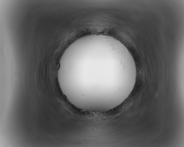 X0000083590961200703091716