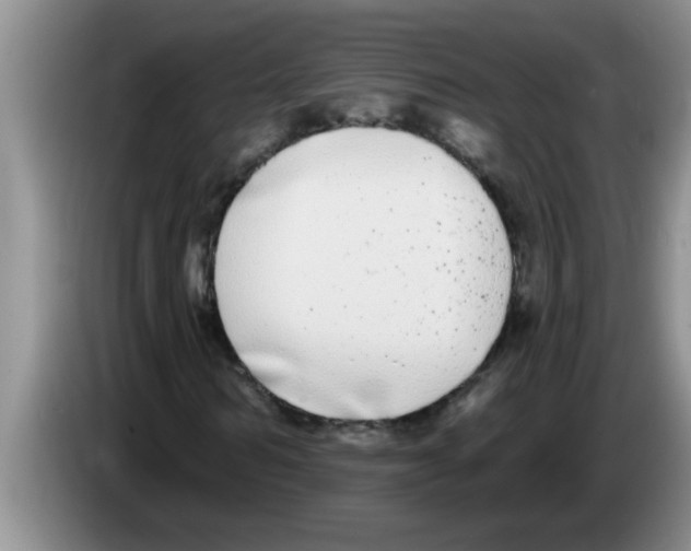 X0000083590962200703091716