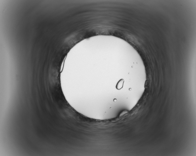 X0000083590964200703091716