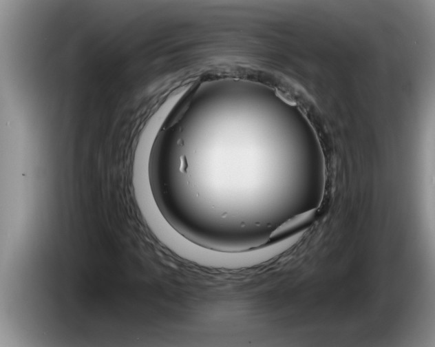 X0000083590965200703091716