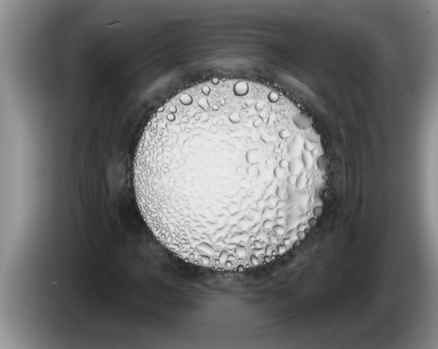 X0000083590966200703091716