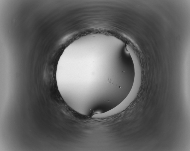 X0000083590968200703091716