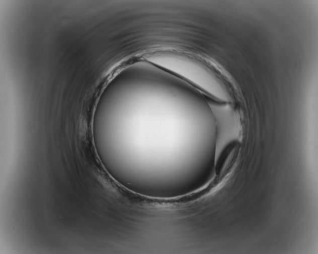 X0000083590969200703091716