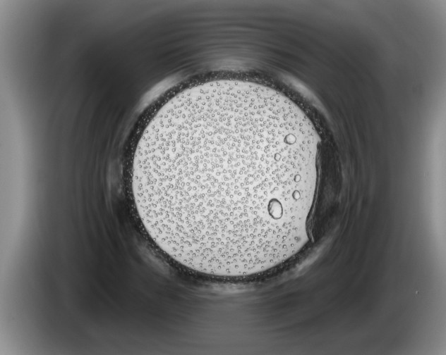 X0000083590970200703091716