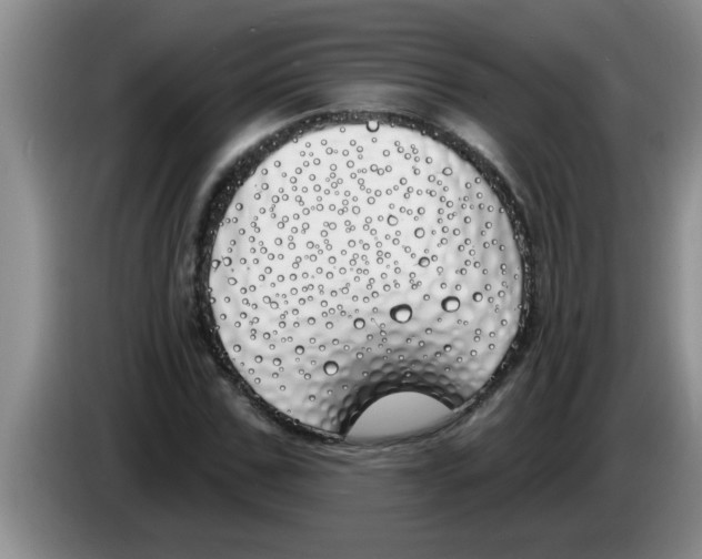 X0000083590971200703091716