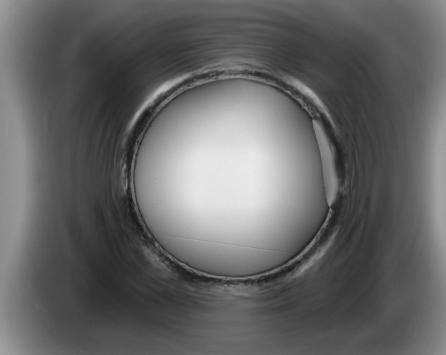 X0000083590973200703091716