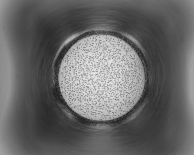 X0000083590974200703091716
