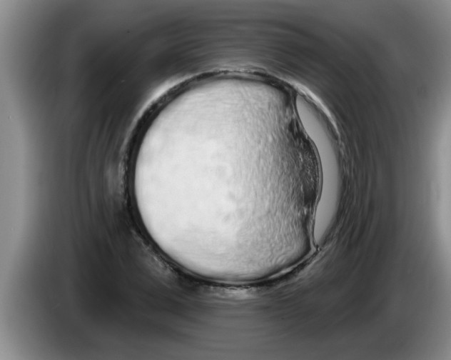 X0000083590975200703091716