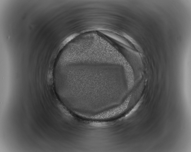 X0000083590977200703091716