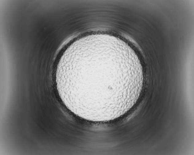 X0000083590978200703091716