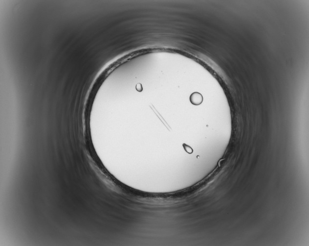 X0000083590980200703091715