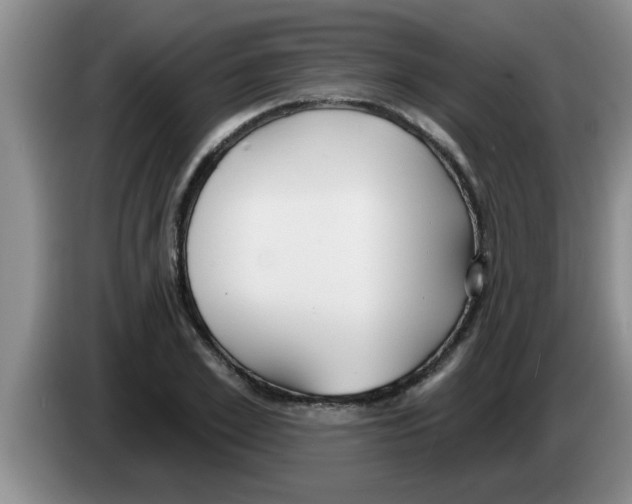 X0000083590981200703091715