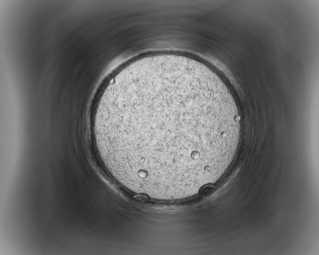 X0000083590982200703091715