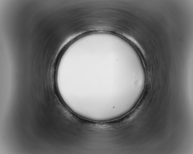X0000083590983200703091715