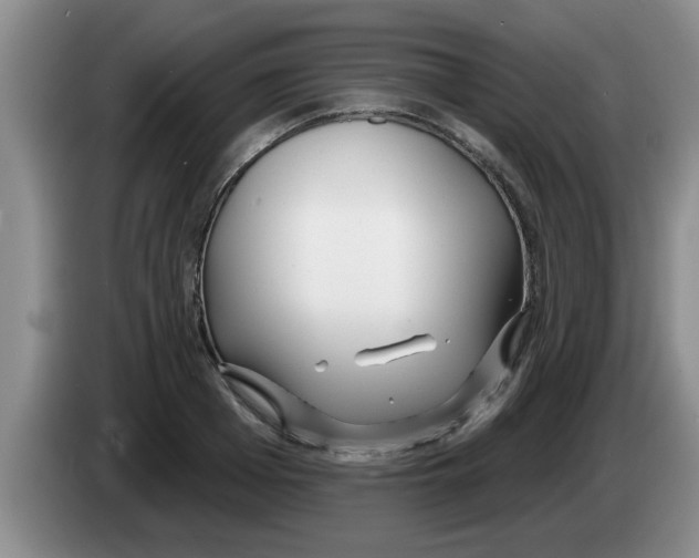 X0000083590985200703091715