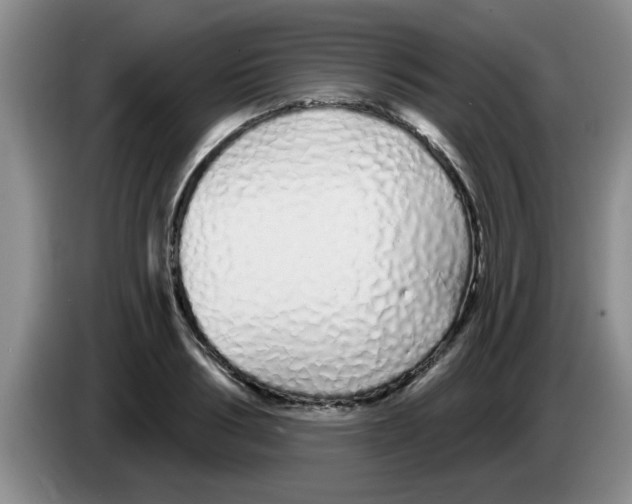 X0000083590986200703091715