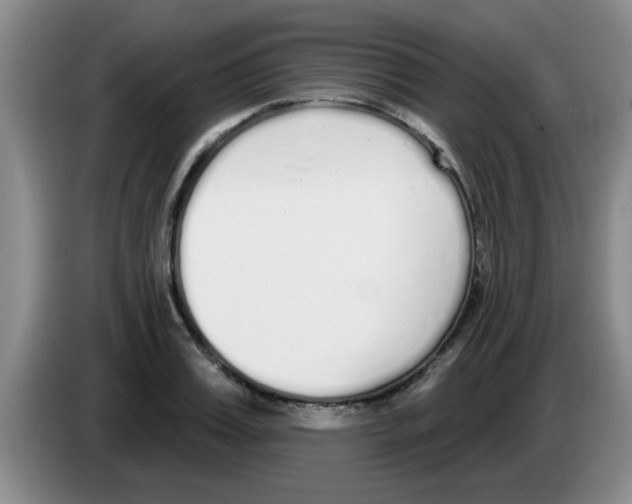 X0000083590987200703091715