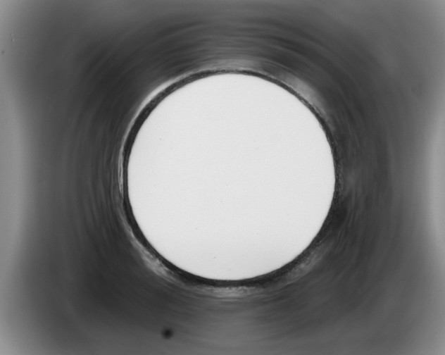 X0000083590988200703091715
