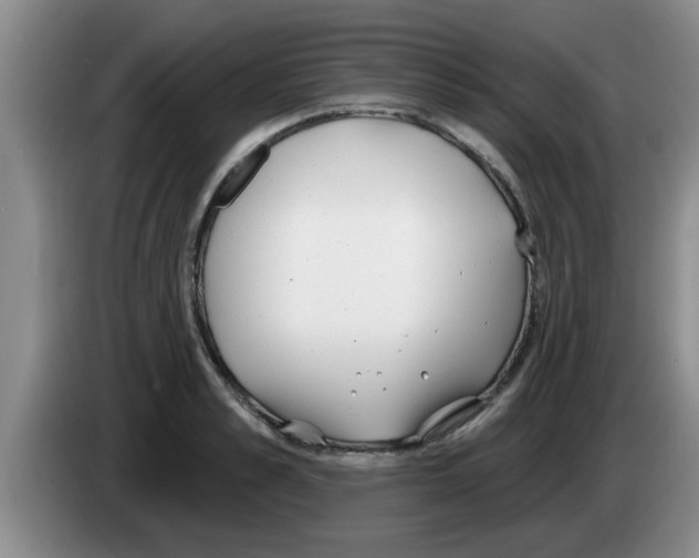 X0000083590989200703091715