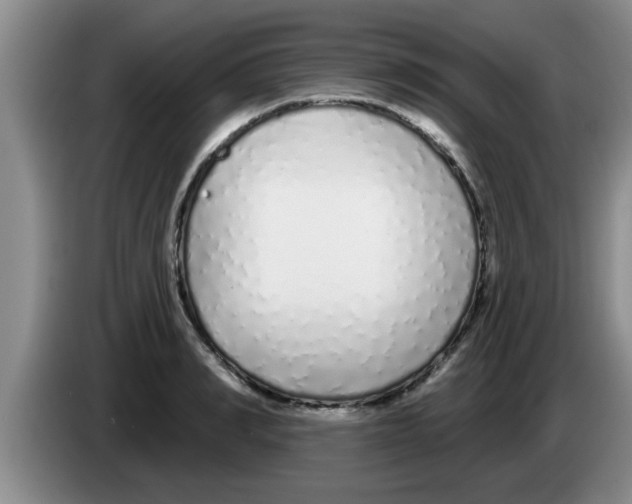 X0000083590990200703091715