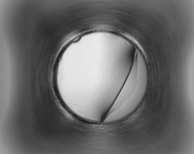 X0000083590991200703091715