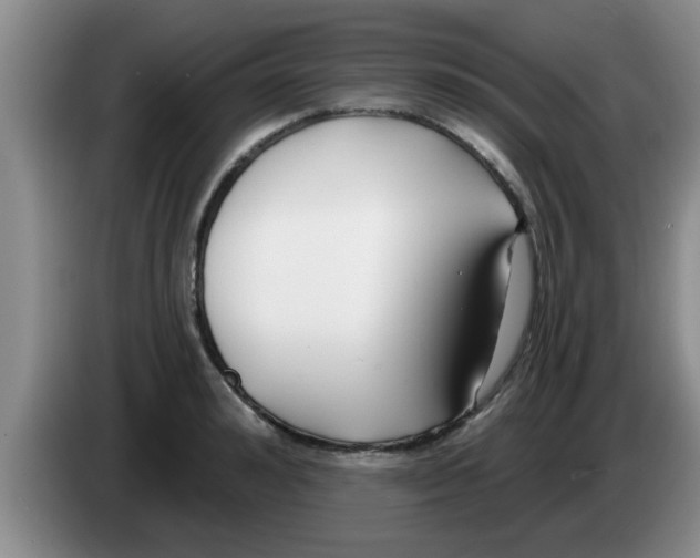 X0000083590992200703091715