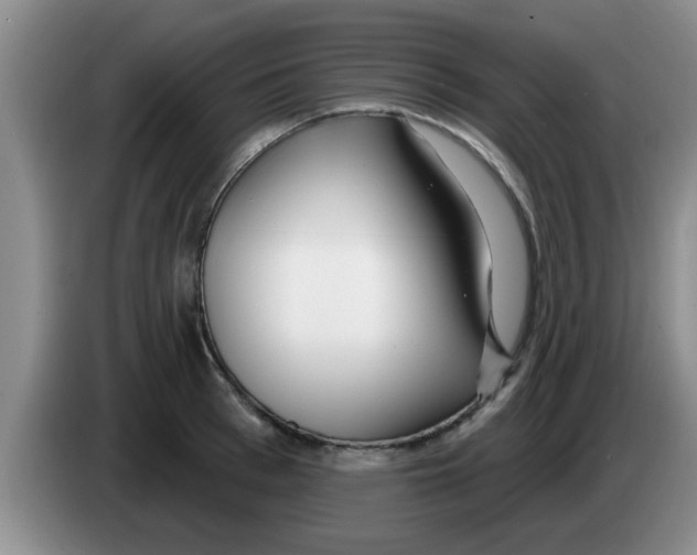 X0000083590993200703091715