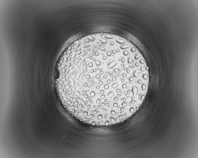 X0000083590994200703091715