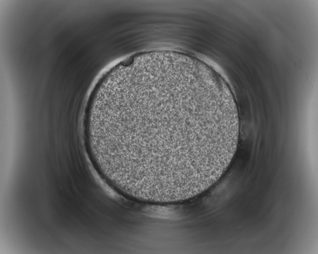 X0000083590995200703091715