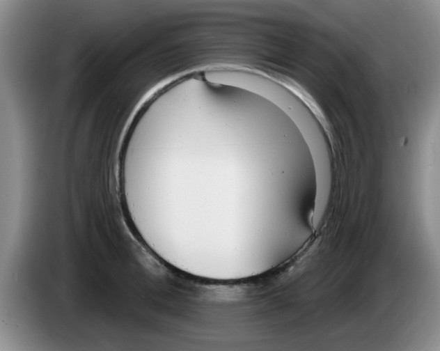 X0000083590996200703091715