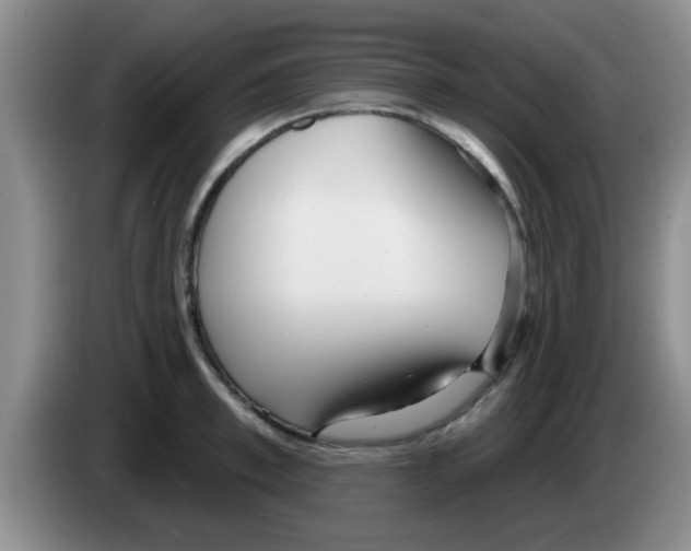 X0000083590997200703091715