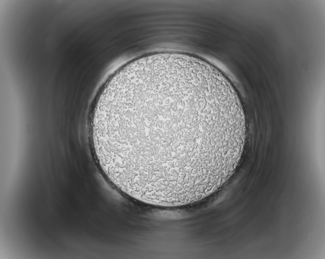X0000083590998200703091715