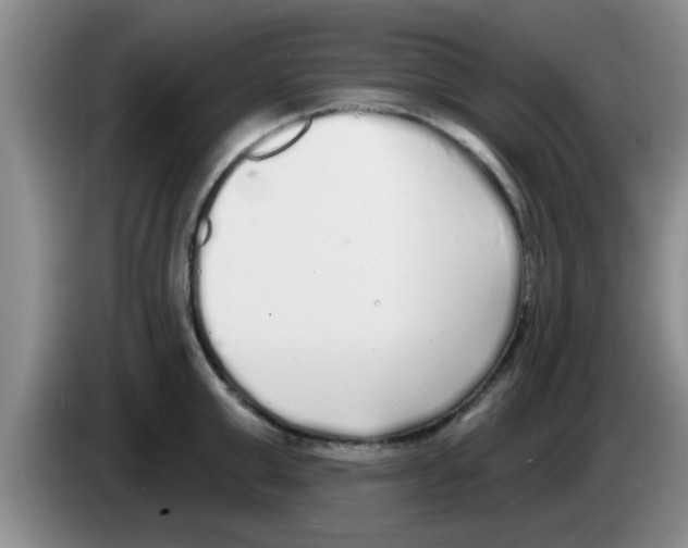 X0000083590999200703091715
