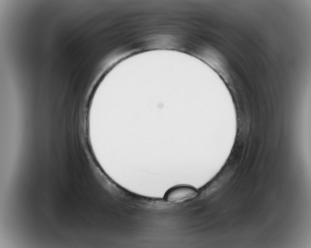 X0000083591000200703091715