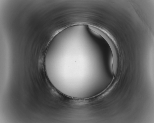 X0000083591001200703091715