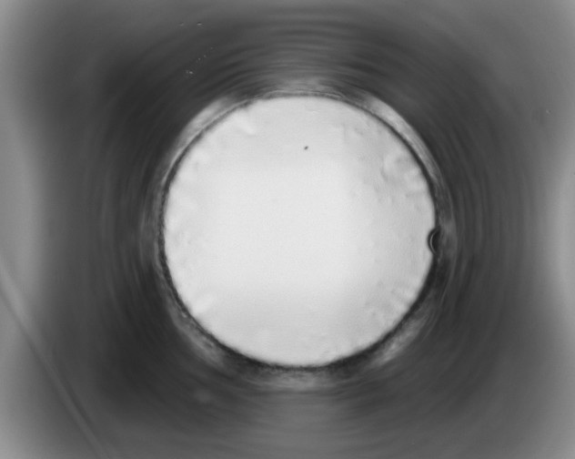 X0000083591002200703091715